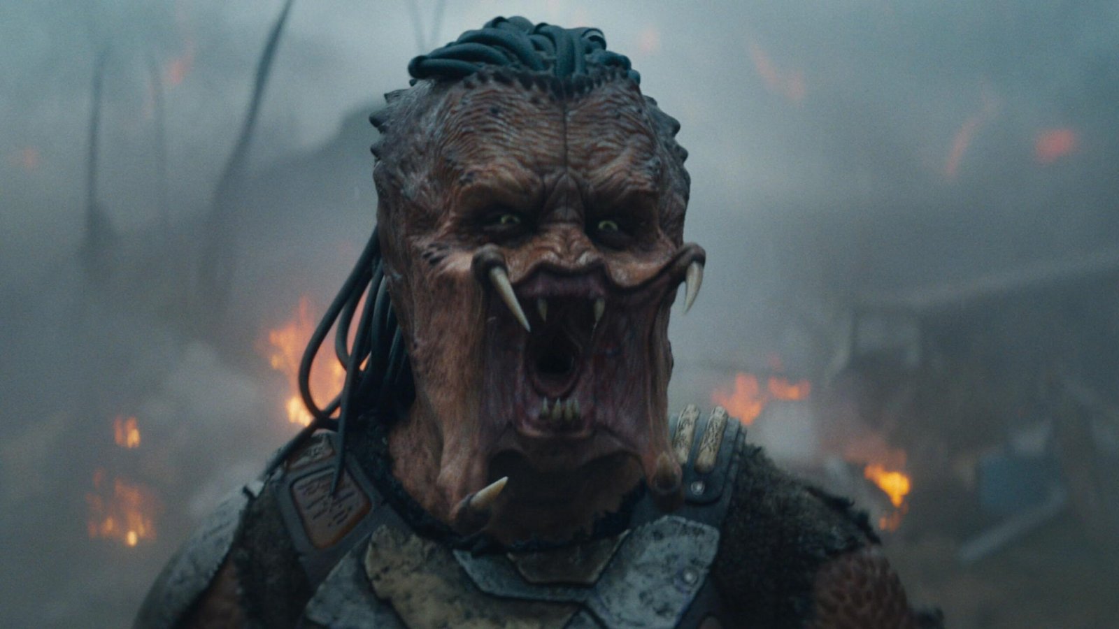 Predator Badlands Release Date, Cast, Plot & What We Know 2025 – 18 Predator Badlands Release Date, Cast, Plot & What We Know